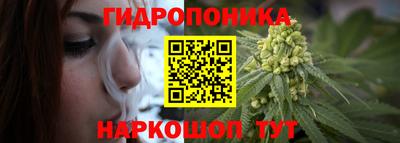 круглые Кимры