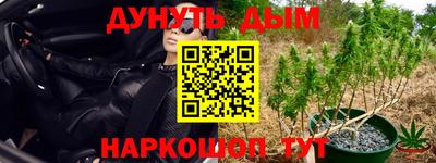 PSILOCYBIN Кинель
