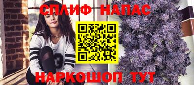 PSILOCYBIN Кинель