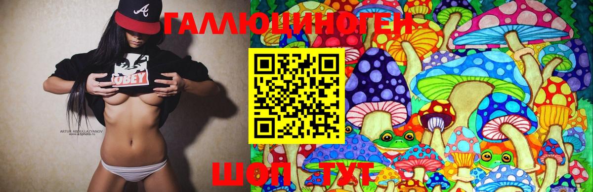 Псилоцибиновые грибы мицелий Кувандык