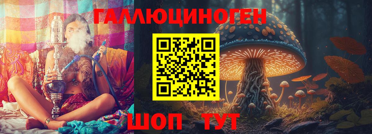 Кувандык  Псилоцибиновые грибы Psilocybine cubensis  Вход с VPN 
